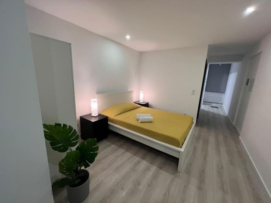 Opo - Fantastic Studio With Garden Porto Quarto foto